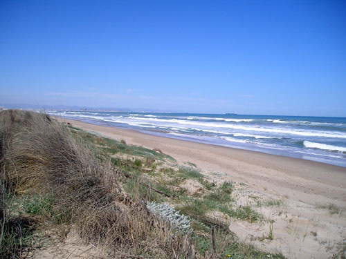 Playa de la Dehaesa de El Saler(Playa salvaje)